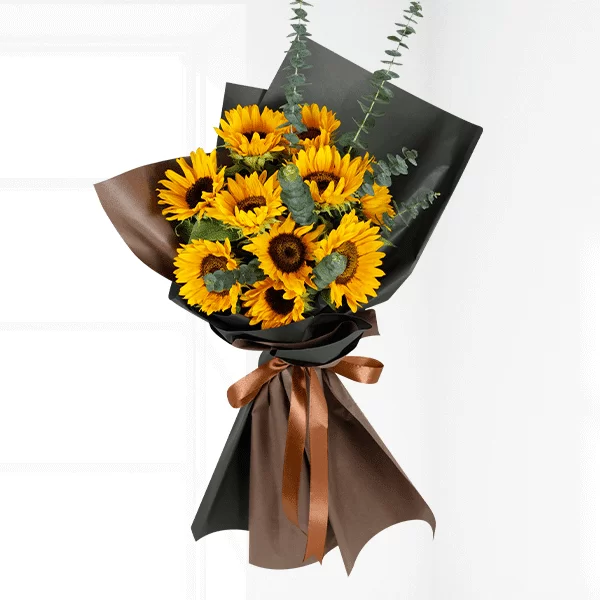 Girasoles