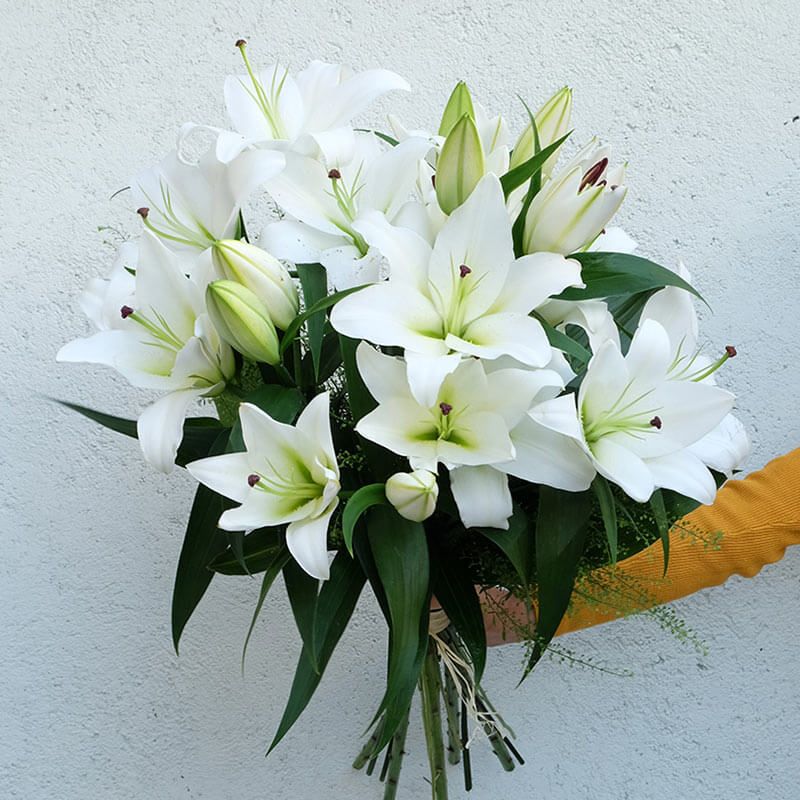 Lirios Blancos