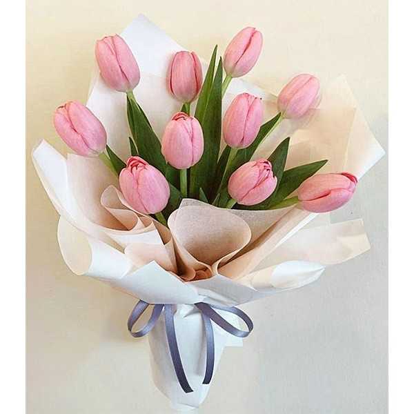 Tulipanes Rosados